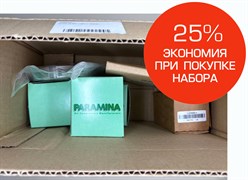 ЗИП Mistral 500-1000 часов Paramina